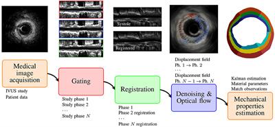 Mechanical Characterization of the Vessel Wall by Data Assimilation of Intravascular Ultrasound Studies